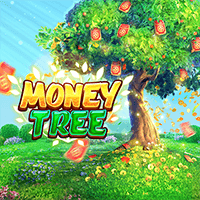 Cây tiền thumbnail
